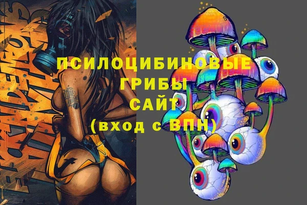 гидропоника Абдулино