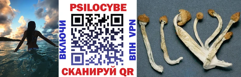 shop как зайти  Руза  Псилоцибиновые грибы прущие грибы 